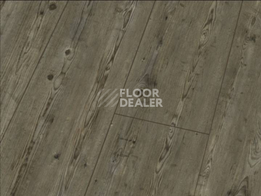 Ламинат Falquon Blue Line Wood 8mm D3546 PRIGNITZ PINE фото 1 | FLOORDEALER
